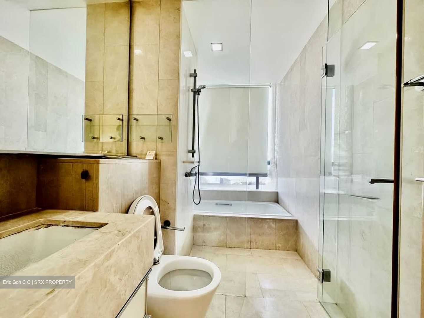 RiverGate (D9), Apartment #558657641